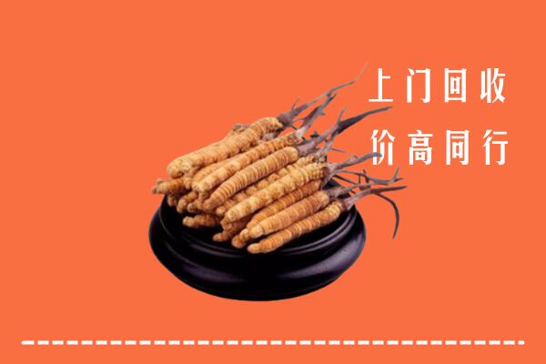 铜陵回收散虫草