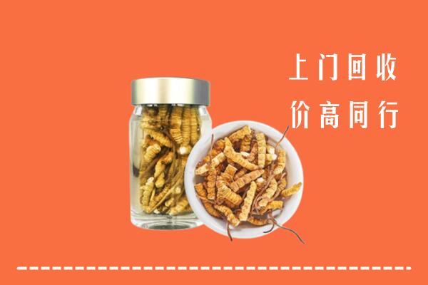 铜陵回收冬虫夏草